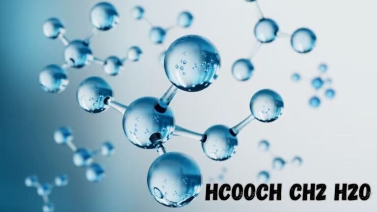 HCOOCH + CH₂ + H₂O – Hydrolysis of Methyl Formate Explained